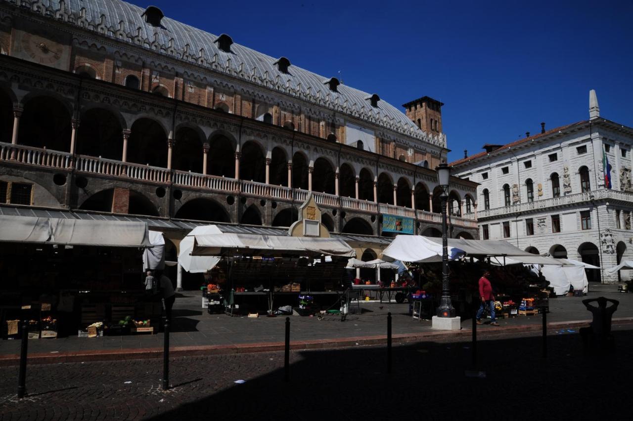 Delle Erbe Apartment